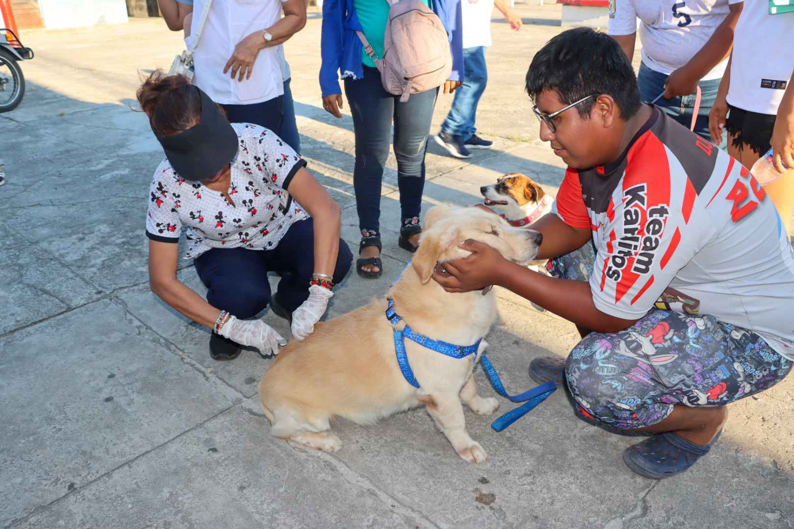 Imagen noticia